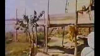 250 Year Old Devraha Baba of Vrindavan Very Rare Footage [upl. by Christye992]