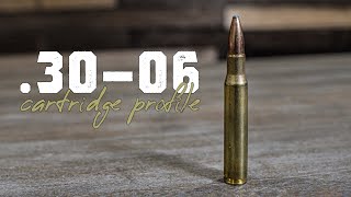 3006 Springfield Cartridge Profile 10 Pros and Cons [upl. by Tayib]