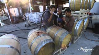 Vine to Wine Winemaking at Naggiar Vineyards [upl. by Luoar79]