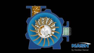 NASH Liquid Ring Vacuum Pump  How It Works [upl. by Freed494]