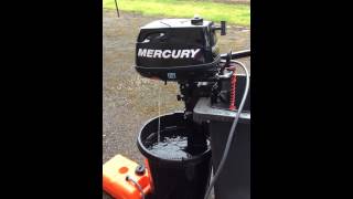 Mercury 6hp four stroke [upl. by Halona92]