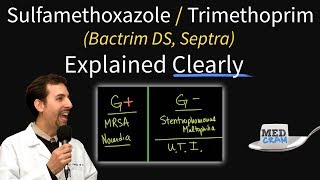 Pharmacology  Antibiotics Anti Infectives nursing RN PN MADE EASY [upl. by Rosette]