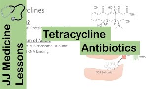 Tetracycline Antibiotics [upl. by Suzan802]