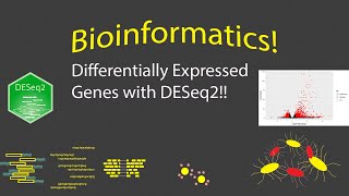 Bioinformatics  Finding Differentially Expressed Genes with DESeq2 [upl. by Atikam600]