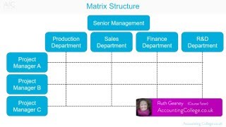 Matrix Organisational Structure  AZ of business terminology [upl. by Ilan]