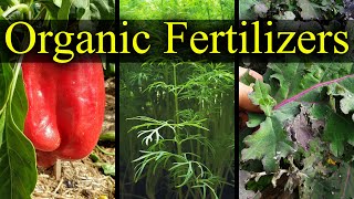 Organic Fertilizers  My Top 5 Choices For 2021 [upl. by Sharman]