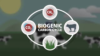 Biogenic Carbon Cycle [upl. by Dwain]