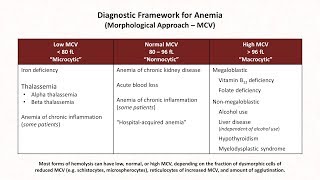 Anemia Lesson 1  Diagnostic Frameworks [upl. by Rosenquist]