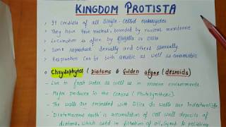 Class 11th  Kingdom protista  Biological Classification Part2  Chapter2 NOTES [upl. by Kameko]