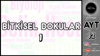 15 Bitkisel Dokular 1 [upl. by Nosnar]