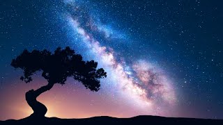 DEEP HEALING SLEEP Sleep Music • Delta Waves • Calming Music • Meditation Music • Relaxation [upl. by Eicrad]