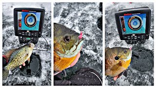 Minnesota First Ice Panfish Success [upl. by Ydissahc]