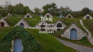 Tokaj Wine Region Hungary  World Heritage Journeys [upl. by Barren]