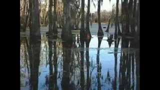 Magnolia Plantation  A Video Tour [upl. by Anilas]