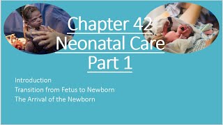 NRP Neonatal Care Part 1 [upl. by Nasar]