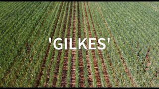 Gilkes Nyngan NSW [upl. by Ainesell254]