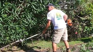 Stihl Kombi Tools Pruner Chainsaw and Hedge Trimmer in action [upl. by Johnson]