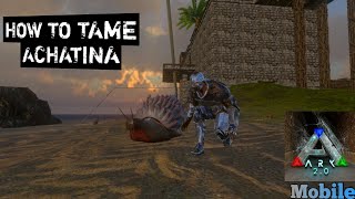 How To Tame Achatina ARK Mobile S1E01 [upl. by Stickney]