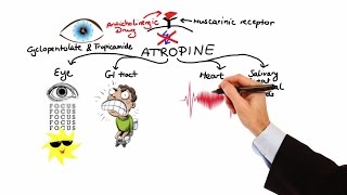 Pharmacology  ANTICHOLINERGIC amp NEUROMUSCULAR BLOCKING AGENTS MADE EASY [upl. by Airla694]