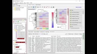 RNASeq Data Analysis Tutorial 06  Extracting Differentially Expressed Genes DEG [upl. by Enahc419]