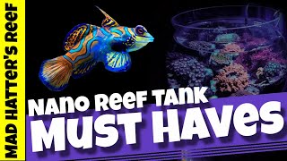 Top 10 Nano Reef Tank Must Have Items [upl. by Acirtap410]