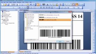 How to Use Bartender Label Design Software [upl. by Anaihr]