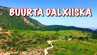 BUURTA DALXIISKA SOMALILAND [upl. by Atinek]