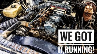 How To Prime or Bleed a Diesel 12Valve Cummins [upl. by Norword530]