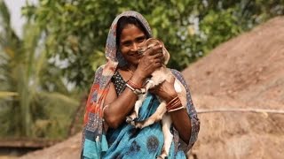 In Rural India Women Lead the Way to Improve Livelihoods [upl. by Mateya26]