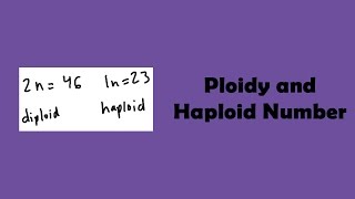 Ploidy and Haploid Number [upl. by Gati356]