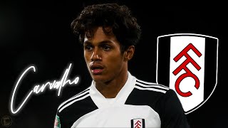 FABIO CARVALHO • Fulham • Unreal Skills Dribbles Goals amp Assists • 2021 [upl. by Odeen]