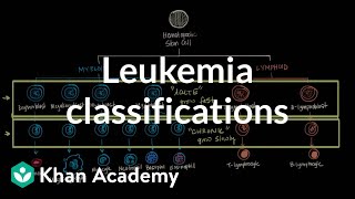 Leukemia classifications  Hematologic System Diseases  NCLEXRN  Khan Academy [upl. by Anicul]