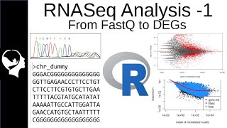 RNASeq Analysis  Differential Expressed Genes DEGs from FastQ [upl. by Liatnahs]