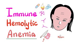 Immune Hemolytic Anemia intro [upl. by Eikciv]