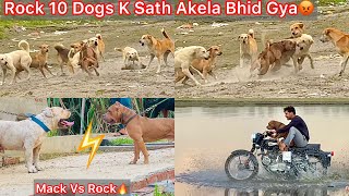 Rock Ko Mack Se Milvane Le Gye🔥Rock 10 Dogs K Sath Akela Bhid Gya😰Panga Hogya Yamuna Nadhi Par🐶 [upl. by Wasserman]