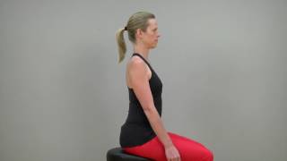 Scapular Retraction Exercise [upl. by Korff]