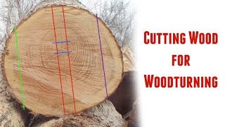 Cutting Logs into Turning Blanks  Part 1 [upl. by Pogue]