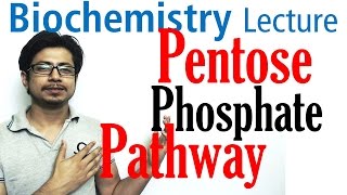 Pentose phosphate pathway [upl. by Beaufert]