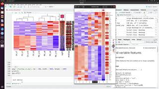 How to make a heatmap of differentially expressed genes in R complex version [upl. by Cleaves]