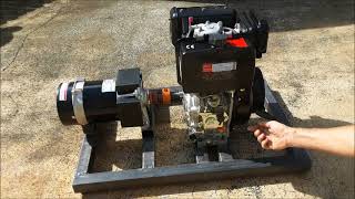 Homemade Diesel Generator [upl. by Einnahpets]