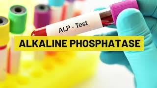 Alkaline Phosphatase  My Lab Solution [upl. by Earezed809]