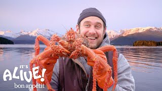 Brad Cooks Crabs in Alaska Part 2  Its Alive  Bon Appétit [upl. by Kliment]