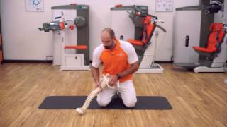 STRETCHING e ALLUNGAMENTO PIRIFORME [upl. by Roland]