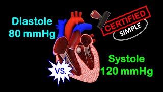 Blood Pressure Measurement  Clinical Examination [upl. by Costanzia165]