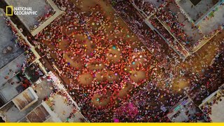 The Colourful Rituals of Holi in Nandgaon  India From Above  National Geographic [upl. by Nwahsyd]