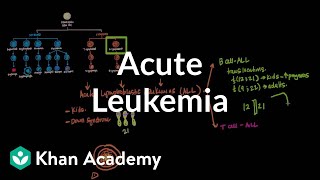 Acute leukemia  Hematologic System Diseases  NCLEXRN  Khan Academy [upl. by Nomzzaj]