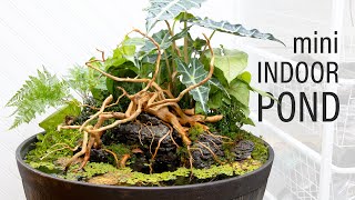 INCREDIBLE Mini Indoor DIY Pond Patio Pond [upl. by Stent]