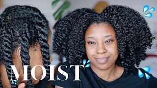 Moisturise DRY Natural Hair In 4 Easy Steps 🔢 Detailed wProduct Recommendations [upl. by Llennor656]