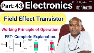 Field Effect Transistor Working in Tamil [upl. by Eikcuhc744]