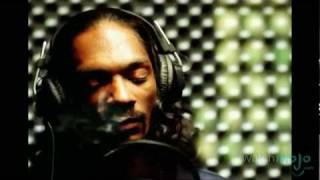 The Life and Career of Snoop Dogg [upl. by Denzil]